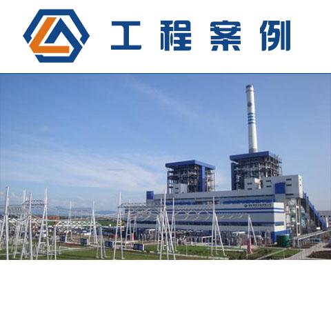 銅陵國(guó)電發(fā)電有限公司